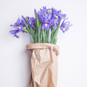 Bouquet Iris-3875