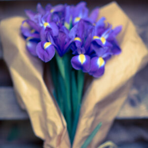 Bouquet Iris-0