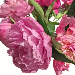 Bouquet Peonie-4342