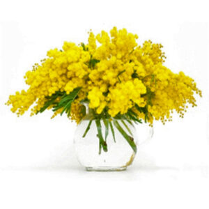 Bouquet Mimose-3935