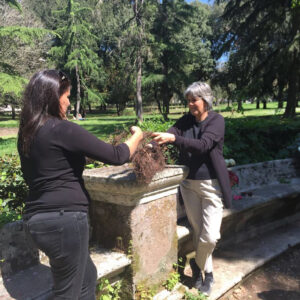 Corso – The Flower Hunter of Villa Borghese-4205