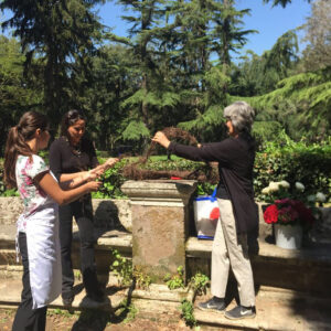 Corso – The Flower Hunter of Villa Borghese-4212