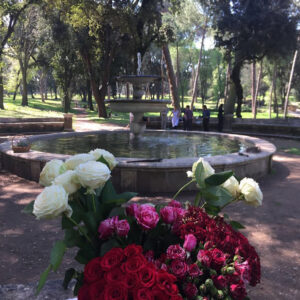 Corso – The Flower Hunter of Villa Borghese-4211