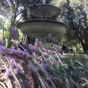 Corso – The Flower Hunter of Villa Borghese-4215