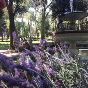 Corso – The Flower Hunter of Villa Borghese-4221