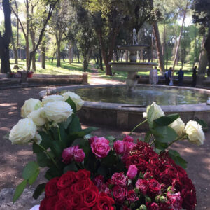 Corso – The Flower Hunter of Villa Borghese-4220