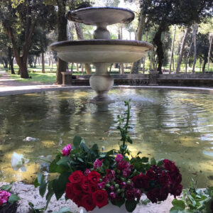 Corso – The Flower Hunter of Villa Borghese-4248