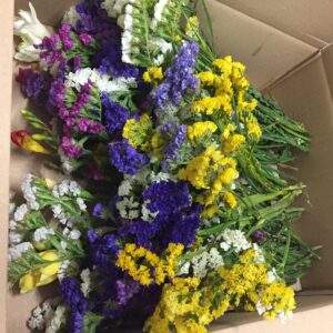 Flowerbox-4546