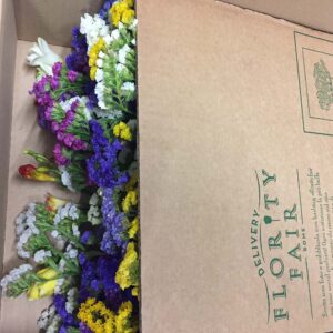 Flowerbox-4547