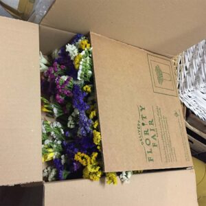 Flowerbox-4550