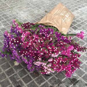 Bouquet Statice-4559