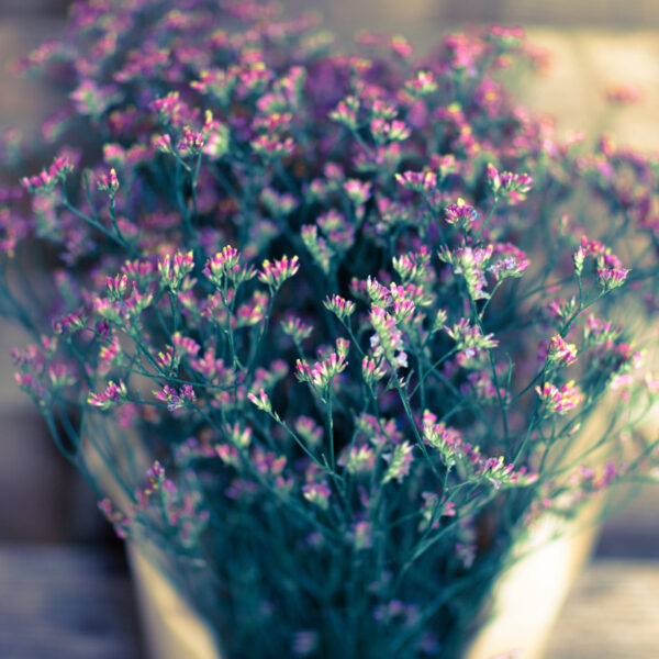 Bouquet Limonium-0