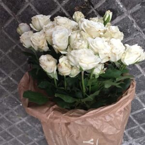 Bouquet Roselline-4572