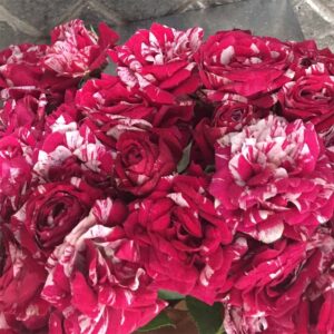 Bouquet Roselline-4577