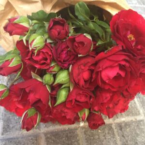 Bouquet Roselline-4573