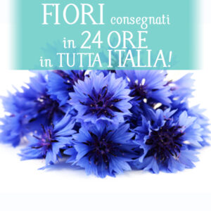 Bouquet di stagione 15€ +-0