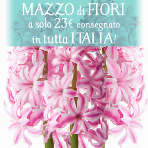 Bouquet di stagione 12€+-4616