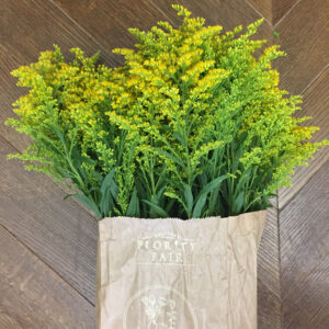 Bouquet Solidago-6257