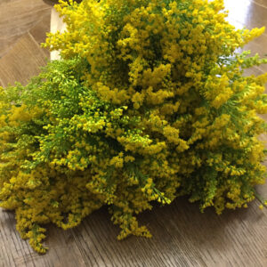 Bouquet Solidago-6258