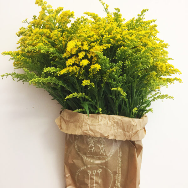 Bouquet Solidago-0